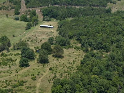 Madison County 42+ Acres For Sale, Near Kings River - image 12