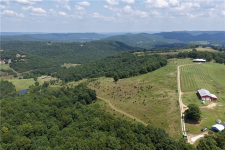 Madison County 42+ Acres For Sale, Near Kings River - image 1
