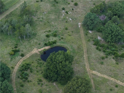 Madison County 42+ Acres For Sale, Near Kings River - image 16