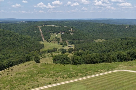 Madison County 42+ Acres For Sale, Near Kings River - image 2