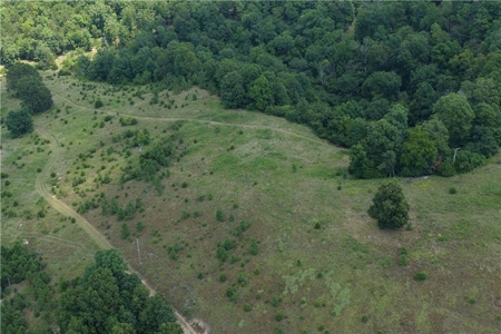 Madison County 42+ Acres For Sale, Near Kings River - image 13