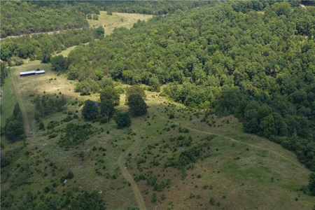 Madison County 42+ Acres For Sale, Near Kings River - image 8