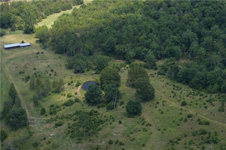 Madison County 42+ Acres For Sale, Near Kings River - image 18