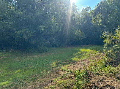 Land for Sale in Perry County, Tennessee - image 23