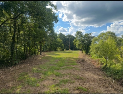 Land for Sale in Perry County, Tennessee - image 20