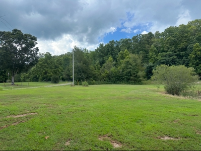Land for Sale in Perry County, Tennessee - image 30