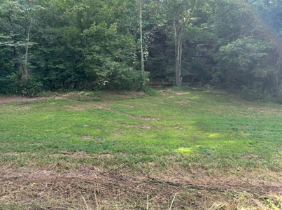 Land for Sale in Perry County, Tennessee - image 25