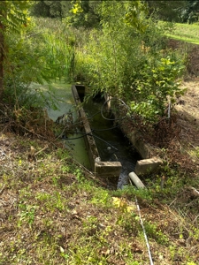 Land for Sale in Perry County, Tennessee - image 10