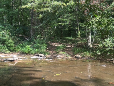 Land for Sale in Perry County, Tennessee - image 5