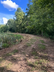 Land for Sale in Perry County, Tennessee - image 41