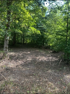 Land for Sale in Perry County, Tennessee - image 31
