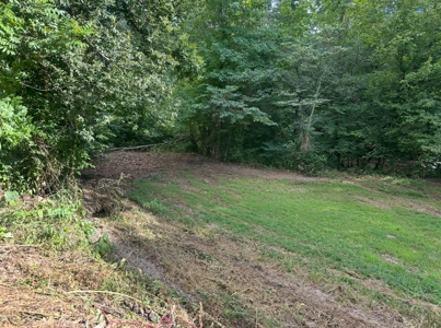 Land for Sale in Perry County, Tennessee - image 24