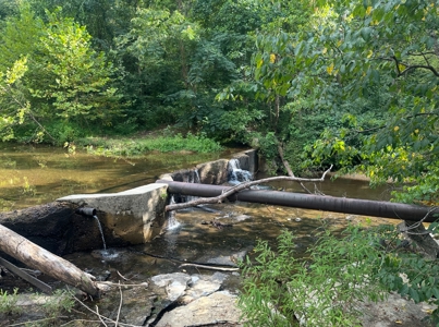 Land for Sale in Perry County, Tennessee - image 11