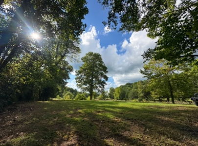 Land for Sale in Perry County, Tennessee - image 6