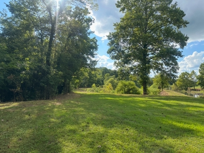 Land for Sale in Perry County, Tennessee - image 7