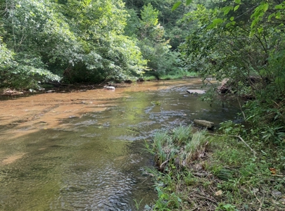 Land for Sale in Perry County, Tennessee - image 4