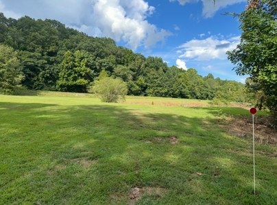 Land for Sale in Perry County, Tennessee - image 33