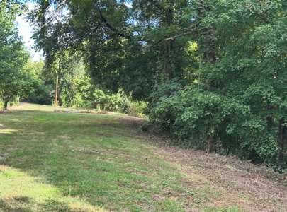 Land for Sale in Perry County, Tennessee - image 28