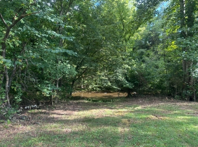 Land for Sale in Perry County, Tennessee - image 2