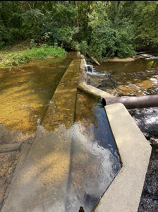 Land for Sale in Perry County, Tennessee - image 14