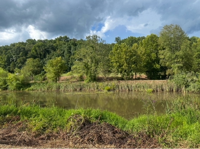 Land for Sale in Perry County, Tennessee - image 26