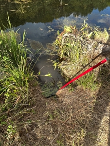 Land for Sale in Perry County, Tennessee - image 40