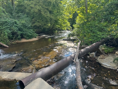 Land for Sale in Perry County, Tennessee - image 16