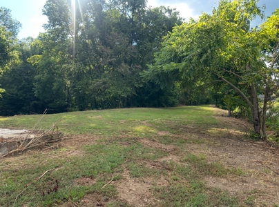 Land for Sale in Perry County, Tennessee - image 27