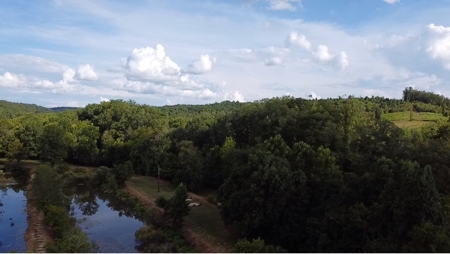 Land for Sale in Perry County, Tennessee - image 35