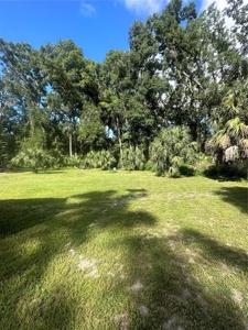 Vacant Land Near Manatee Spring and Suwannee river - image 7