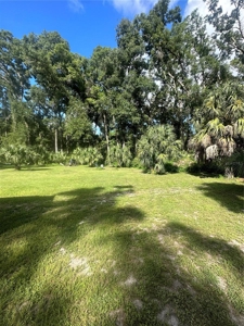 Vacant Land Near Manatee Spring and Suwannee river - image 6