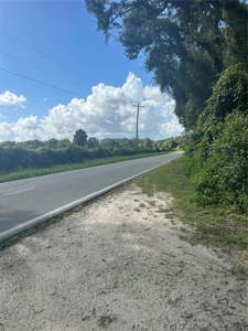 Vacant Land Near Manatee Spring and Suwannee river - image 4