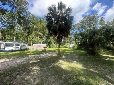 Vacant Land Near Manatee Spring and Suwannee river - image 3