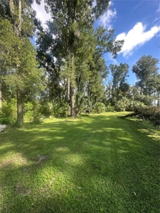 Vacant Land Near Manatee Spring and Suwannee river - image 1