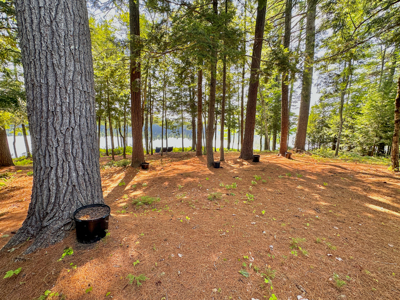 Private Off-Grid Lakefront Compound - image 10