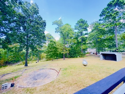 Arkansas Home And Land For Sale Near Norfork Lake And River - image 26