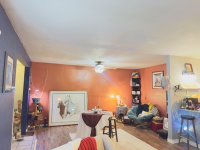 Arkansas Home And Land For Sale Near Norfork Lake And River - image 6