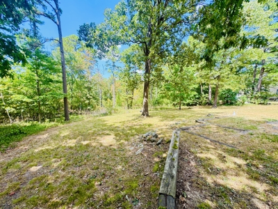 Arkansas Home And Land For Sale Near Norfork Lake And River - image 16