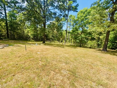 Arkansas Home And Land For Sale Near Norfork Lake And River - image 13