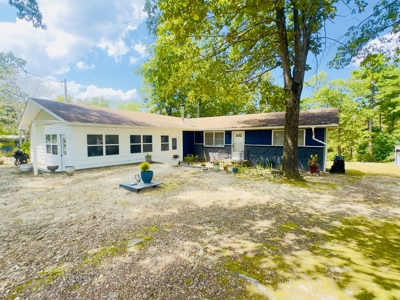 Arkansas Home And Land For Sale Near Norfork Lake And River - image 1