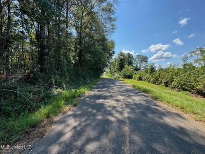 32 +/- Acres Near McComb, MS - Hunting, Timber, Homesite - image 7