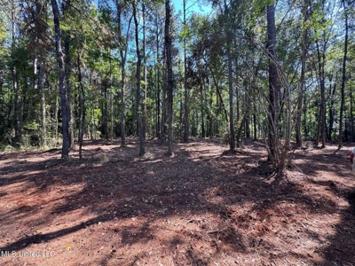 32 +/- Acres Near McComb, MS - Hunting, Timber, Homesite - image 1