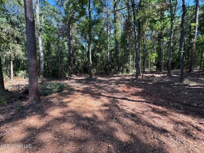 32 +/- Acres Near McComb, MS - Hunting, Timber, Homesite - image 4