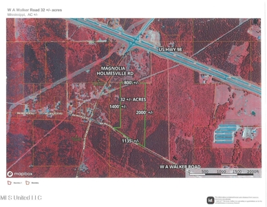 32 +/- Acres Near McComb, MS - Hunting, Timber, Homesite - image 11