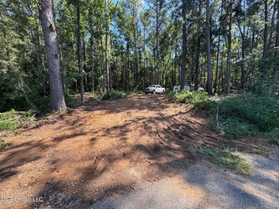 32 +/- Acres Near McComb, MS - Hunting, Timber, Homesite - image 2