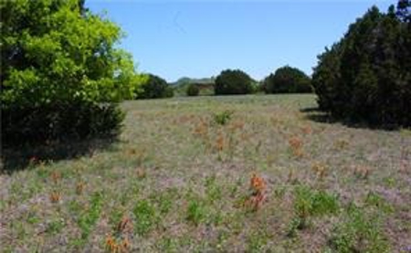 Prime 12+ Acre Development Opportunity in Killeen, TX - image 5