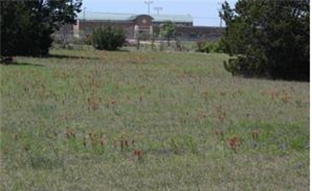 Prime 12+ Acre Development Opportunity in Killeen, TX - image 7
