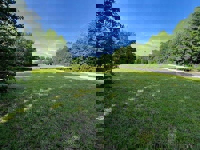 Holly Springs NF Property, Hickory Flat, MS - image 23