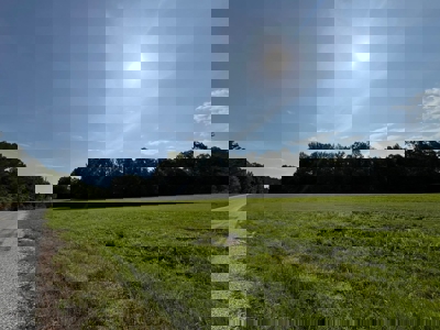 Holly Springs NF Property, Hickory Flat, MS - image 5