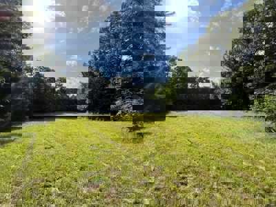 Holly Springs NF Property, Hickory Flat, MS - image 8